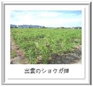 ���傤����